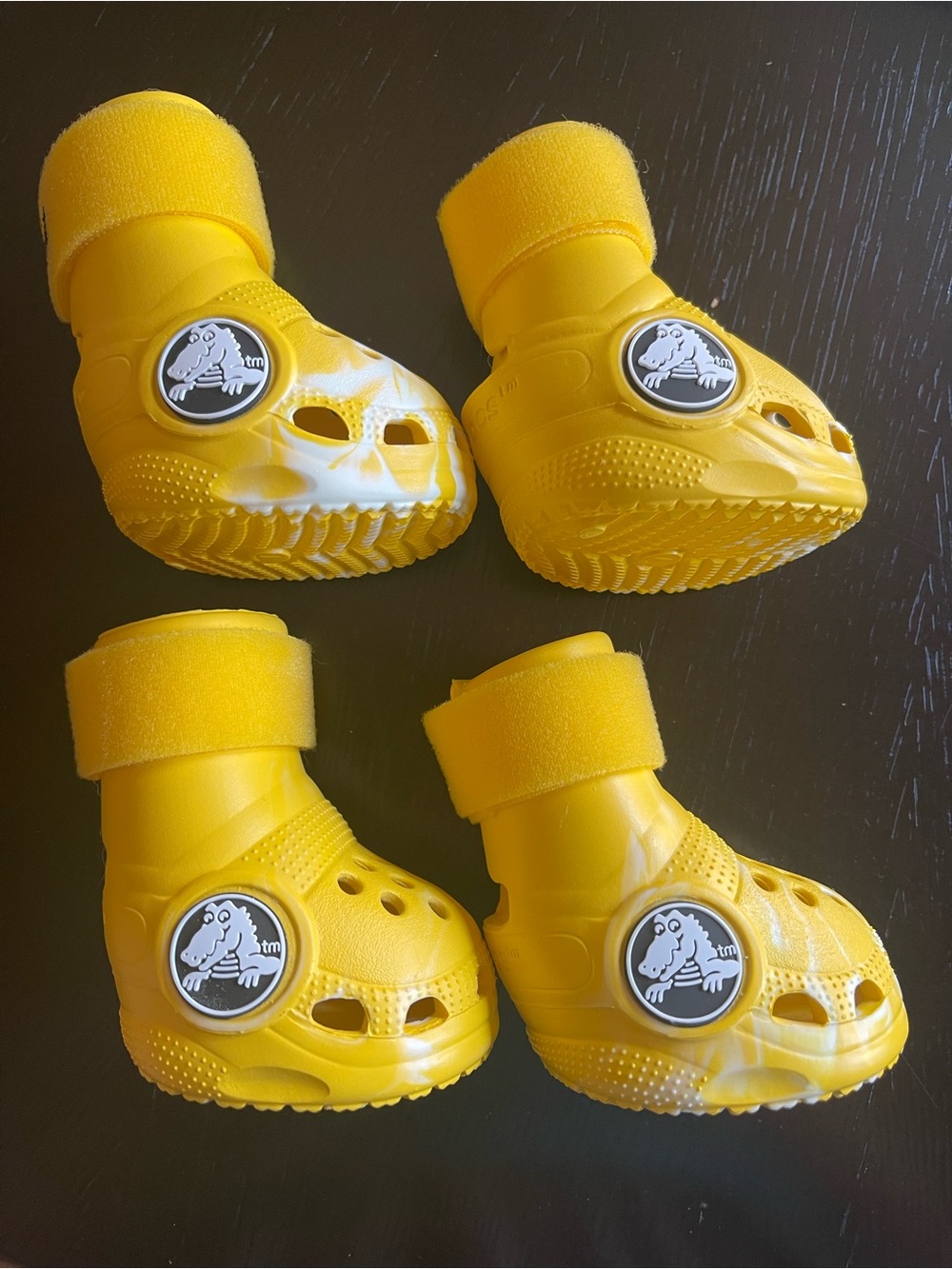 Dog Crocs Yellow Bootie Clogs with Dino Medallion SIZE Large.